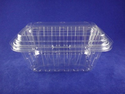 F-1000 Clear Hinged Container
